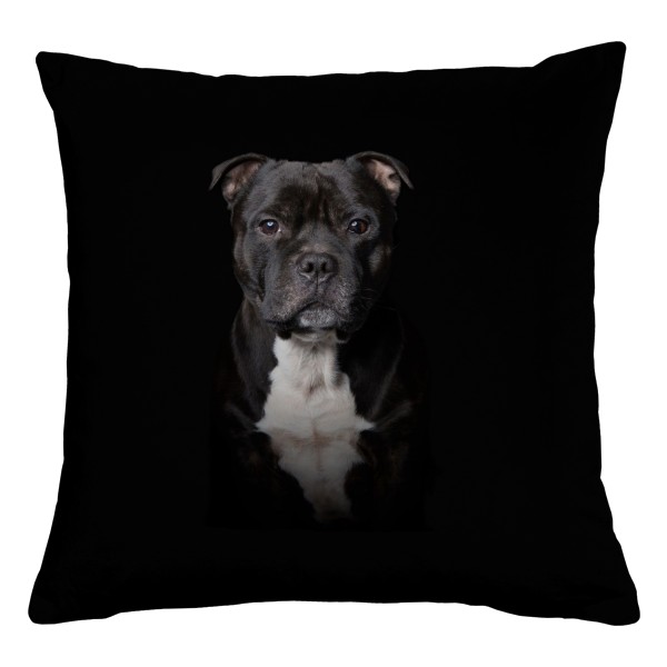 Tmavý Stafordšírský bulteriér