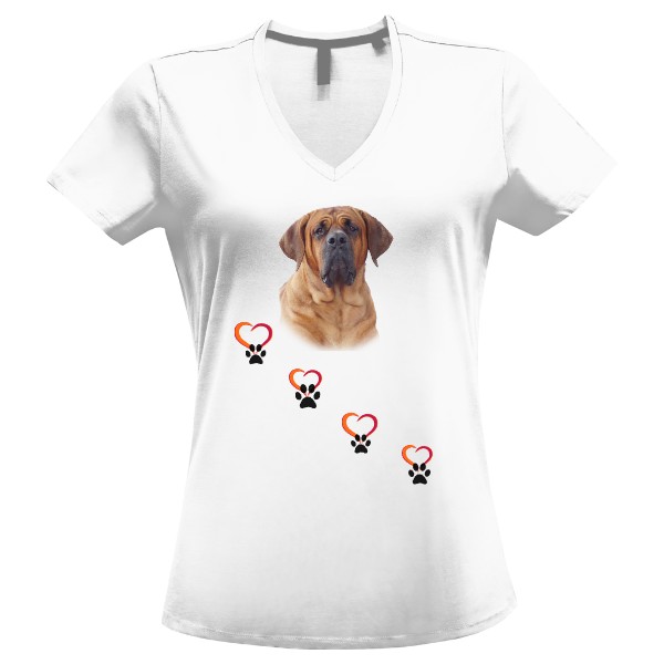 Tričko s potiskem Tosa-inu