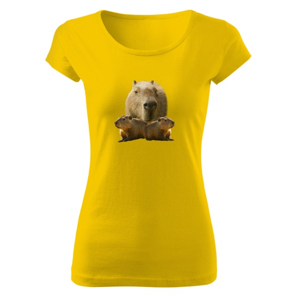 Tričko s potiskem Kap