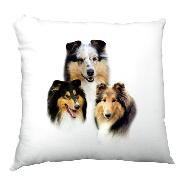 Polštář saténový s potiskem Dlouhosrstá kolie