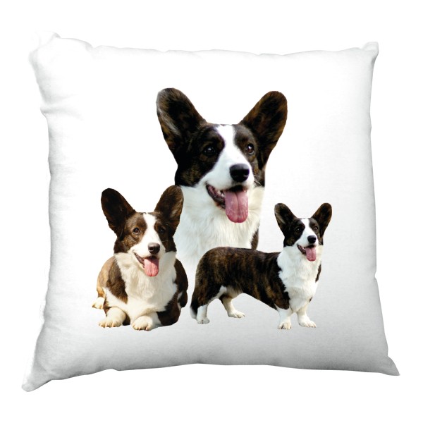 Polštář saténový s potiskem Welsch Corgi 