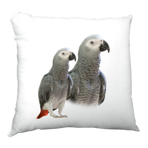 Polštář saténový s potiskem Žako kongo