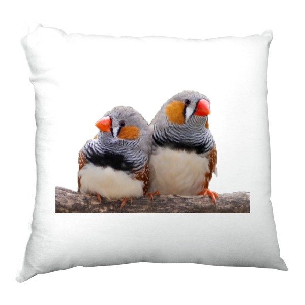 Polštář saténový s potiskem Zebřička pestrá