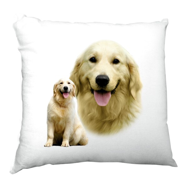 Polštář saténový s potiskem Zlatý retrívr